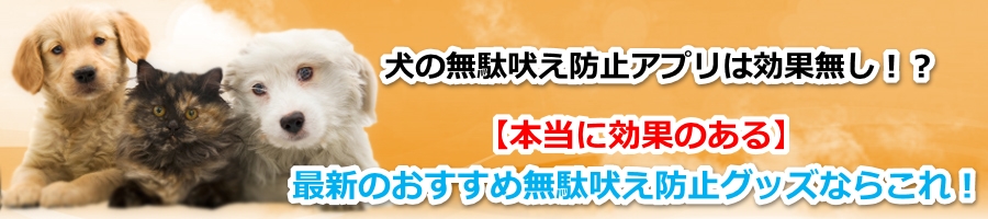 ���̖��ʖi���h�~�A�v���͌��ʖ����I�H